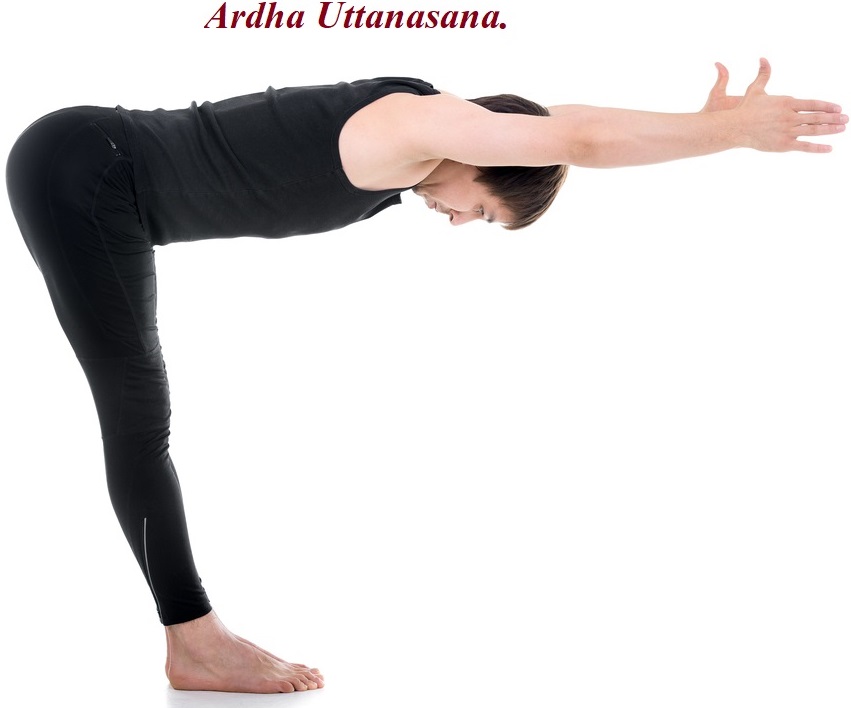 Ardha-Uttanasana