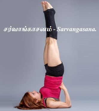 sarvangasana